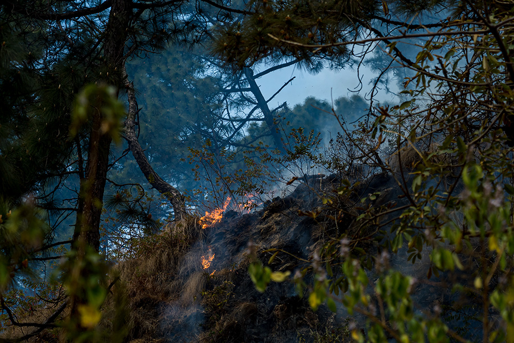 Prévention des incendies en zones rurales : comprendre les risques et agir en Auvergne‑Rhône‑Alpes
