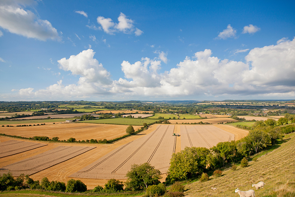 Guide complet du débroussaillage pour les agriculteurs en Auvergne-Rhône-Alpes